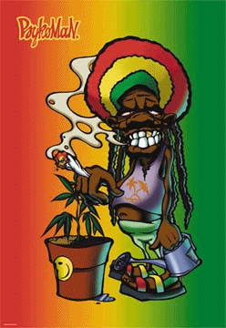 bienvenue dans la peace kingdom